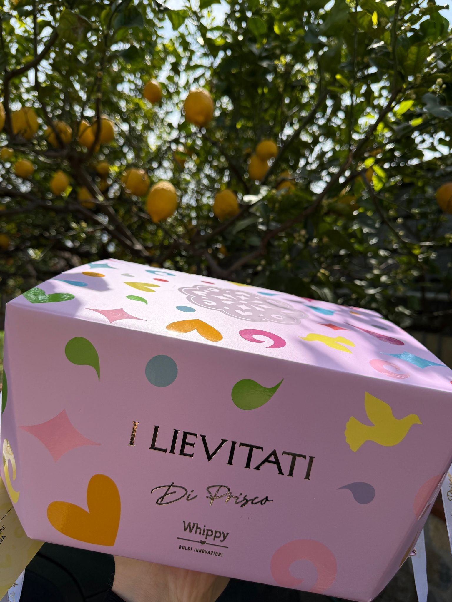 Artisanal Colomba Sinfonia, filled with cubes of yellow peach and white chocolate