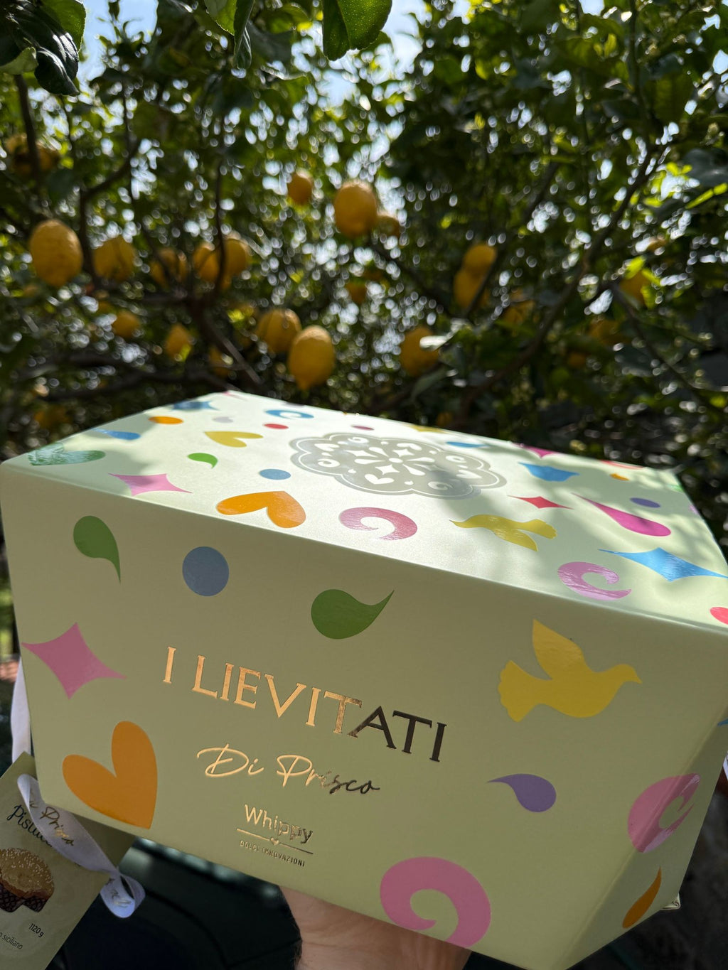 Colomba artigianale Pistacchiosa, con vasetto di crema spalmabile artigianale al pistacchio