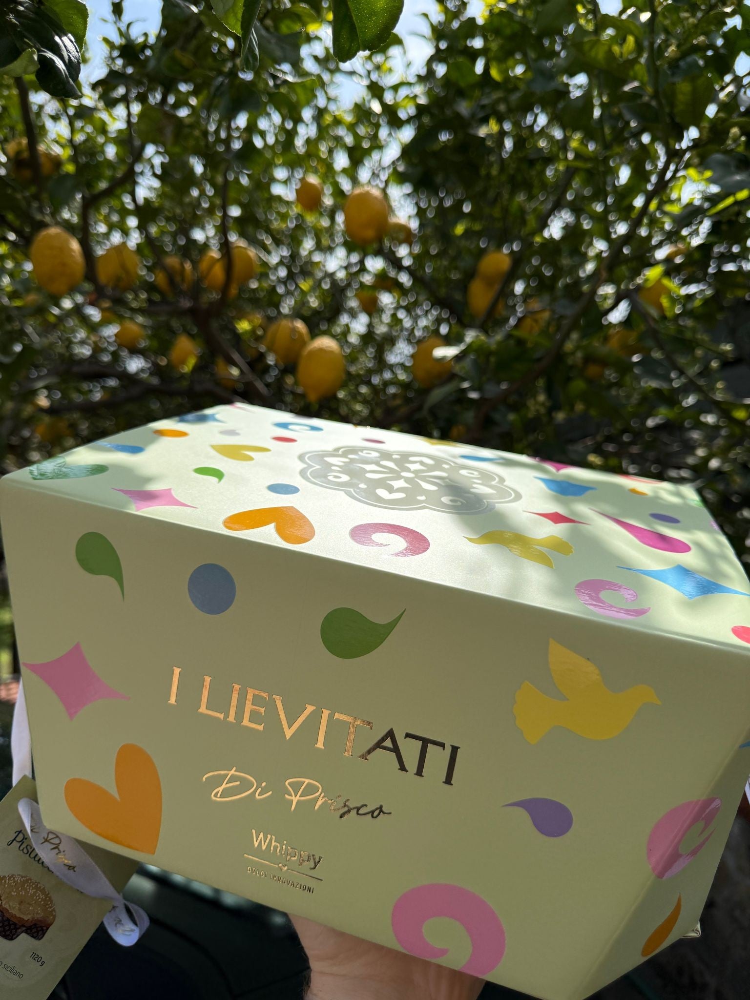 Artisanal Colomba Hippo, with a jar of artisanal hazelnut and white chocolate spread