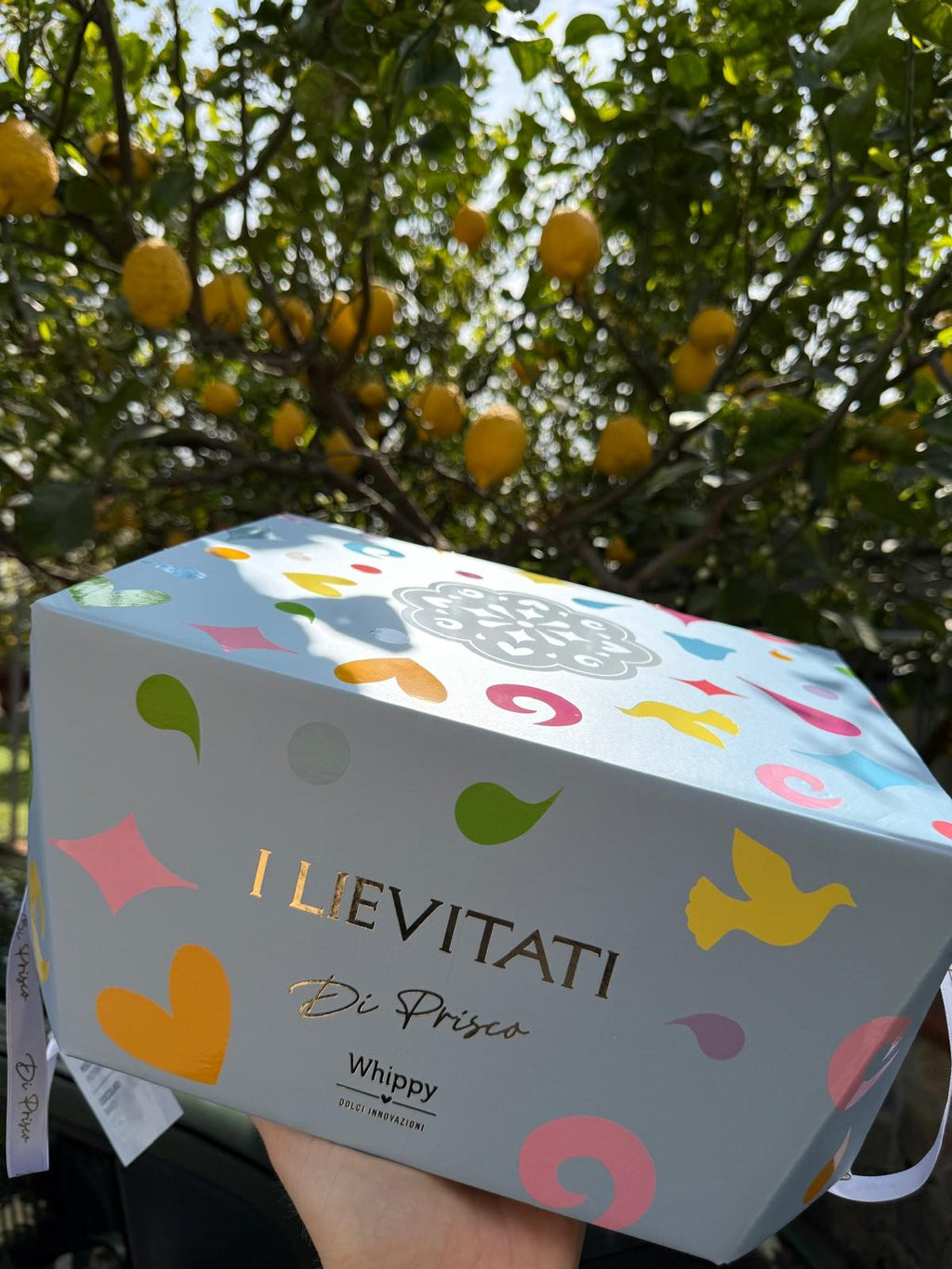 Handwerkliche Colomba Amarena, gefüllt mit kandierten Amarena-Kirschen und Puddingcreme