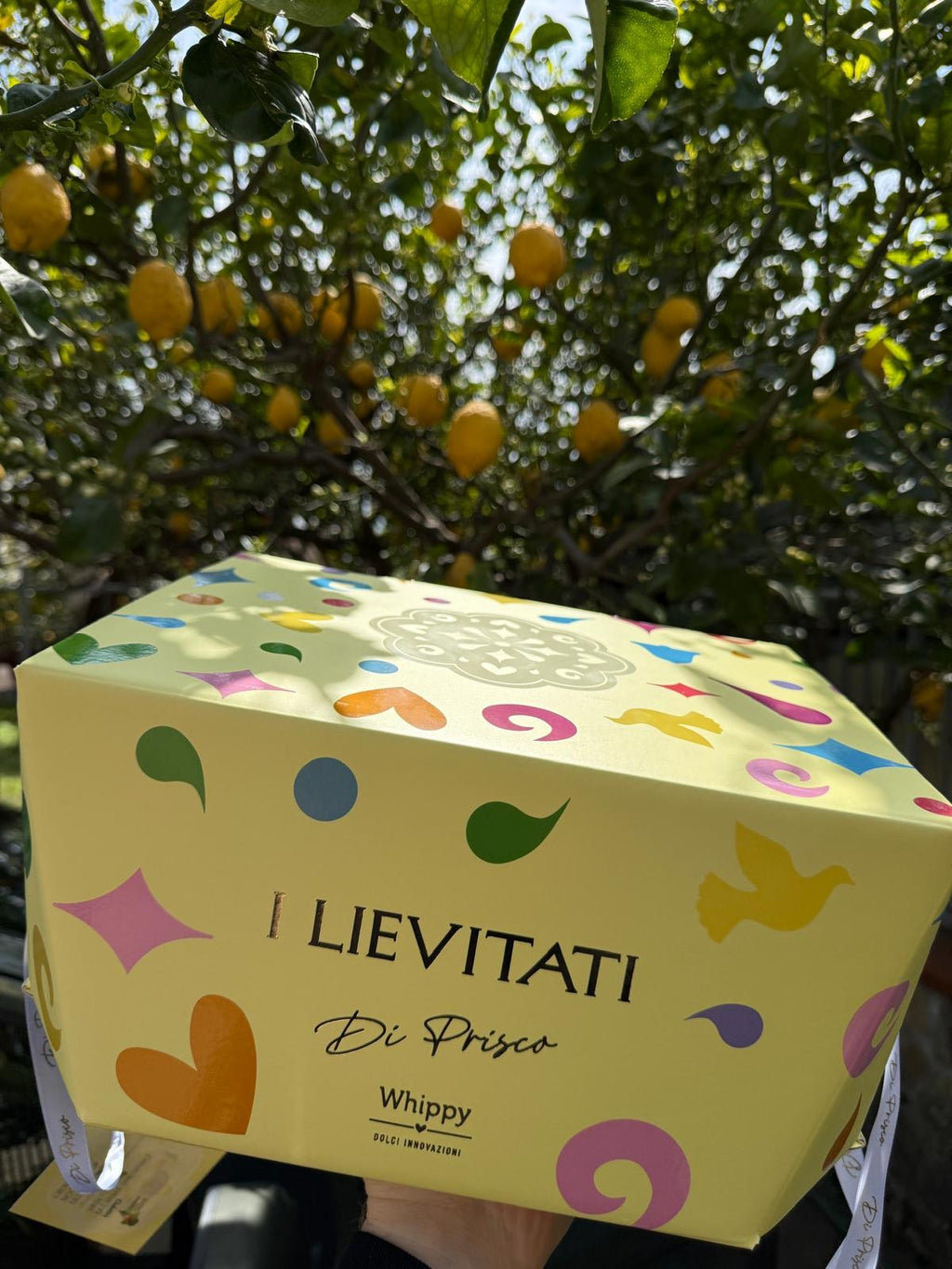 Colomba artigianale  Amalfitana, farcita con crema al limoncello