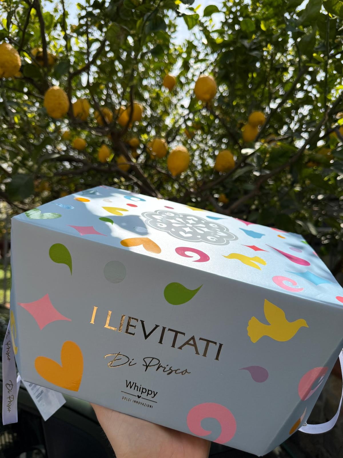 Artisanal Dove Cake Apricot and Chocolate