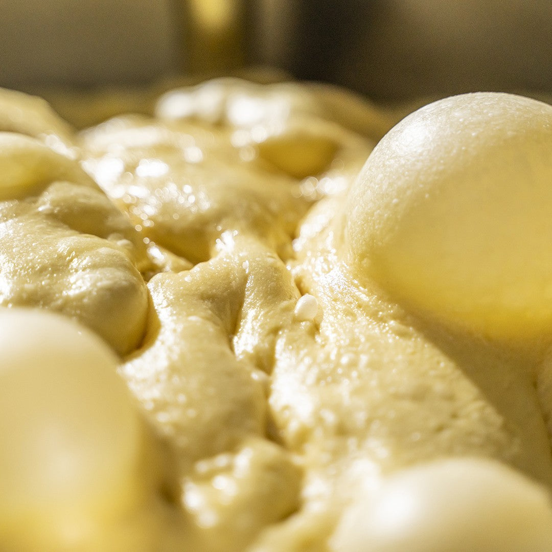 Panettone artigianale Goloso Nocciobianco, con vasetto di crema spalmabile Nocciola e cioccolato bianco