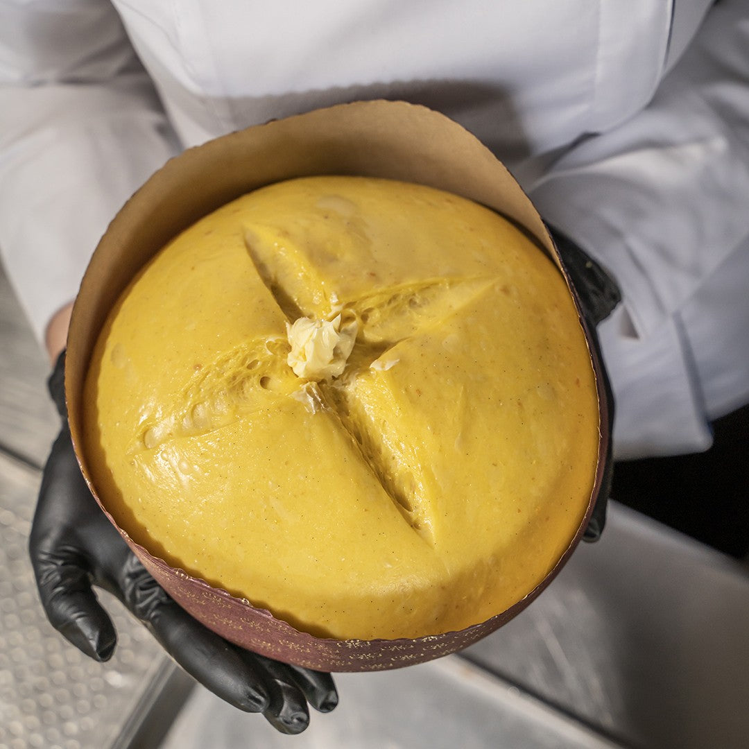 Panettone artigianale Gianduiotto